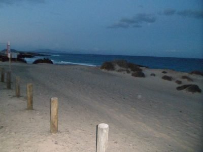 Playa de Alzada en La Oliva