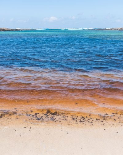 Playa de Beatriz en La Oliva