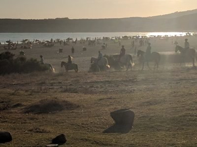 Playa de Bolonia en Tarifa