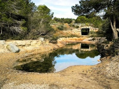Cala de l'Estany Podrit en L'Ametlla de Mar