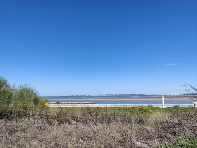 Playa de Calita de la Bocana del Río en Puerto Real