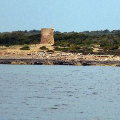 Caló En Timo en Llucmajor