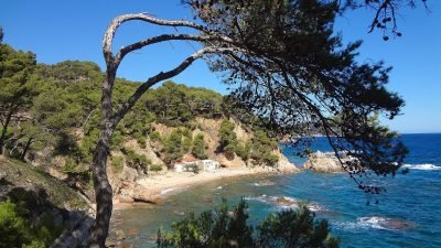 Playa de Cap de Planes en Palamós