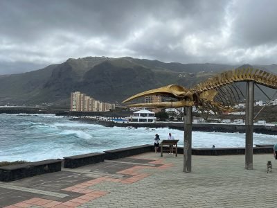 Playa de Charco de la Araña en Los Silos
