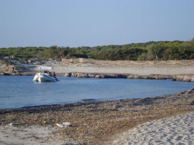Es Perengons Petits en Campos