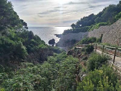 Es Torrent d'Es Morts en Son Servera