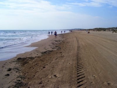 Playa de la Marina en Elche/Elx