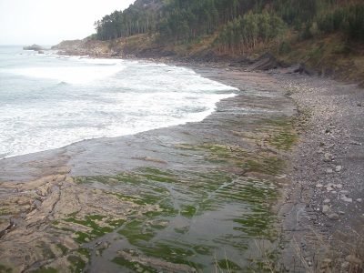Playa de Ogella en Ispaster