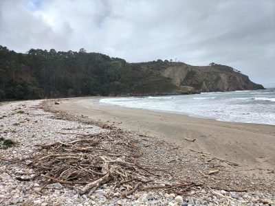 Playa de Cueva en Valdés