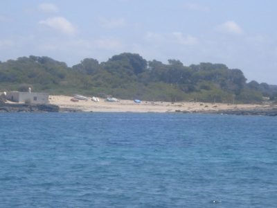 Playa de Playeta d'Es Delfí en Ses Salines