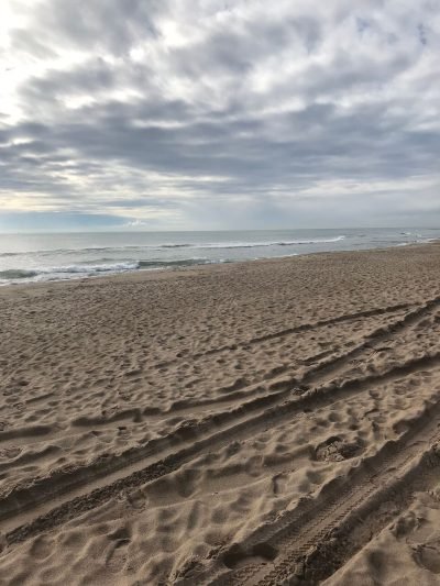 Playa de Protegida sector I en El Prat de Llobregat