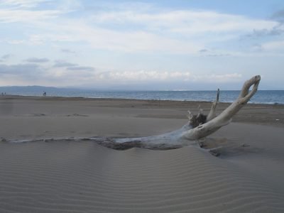 Playa de Punta del Fangar en Deltebre