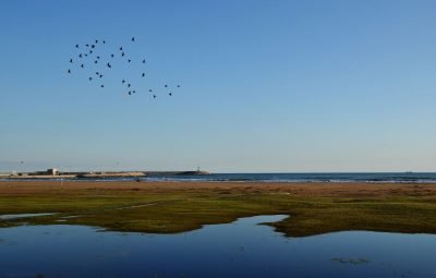 Playa de Ribes Roges en Vilanova i la Geltrú