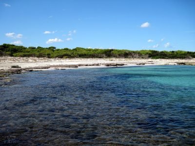 Playa de s'Arenal d'En Casat en Santa Margalida
