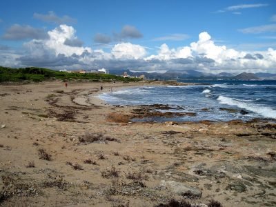 Playa de Son Bauló en Santa Margalida