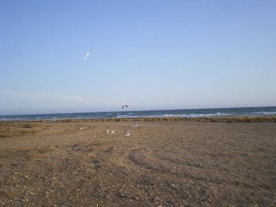 Playa de Torregarcía en Almería