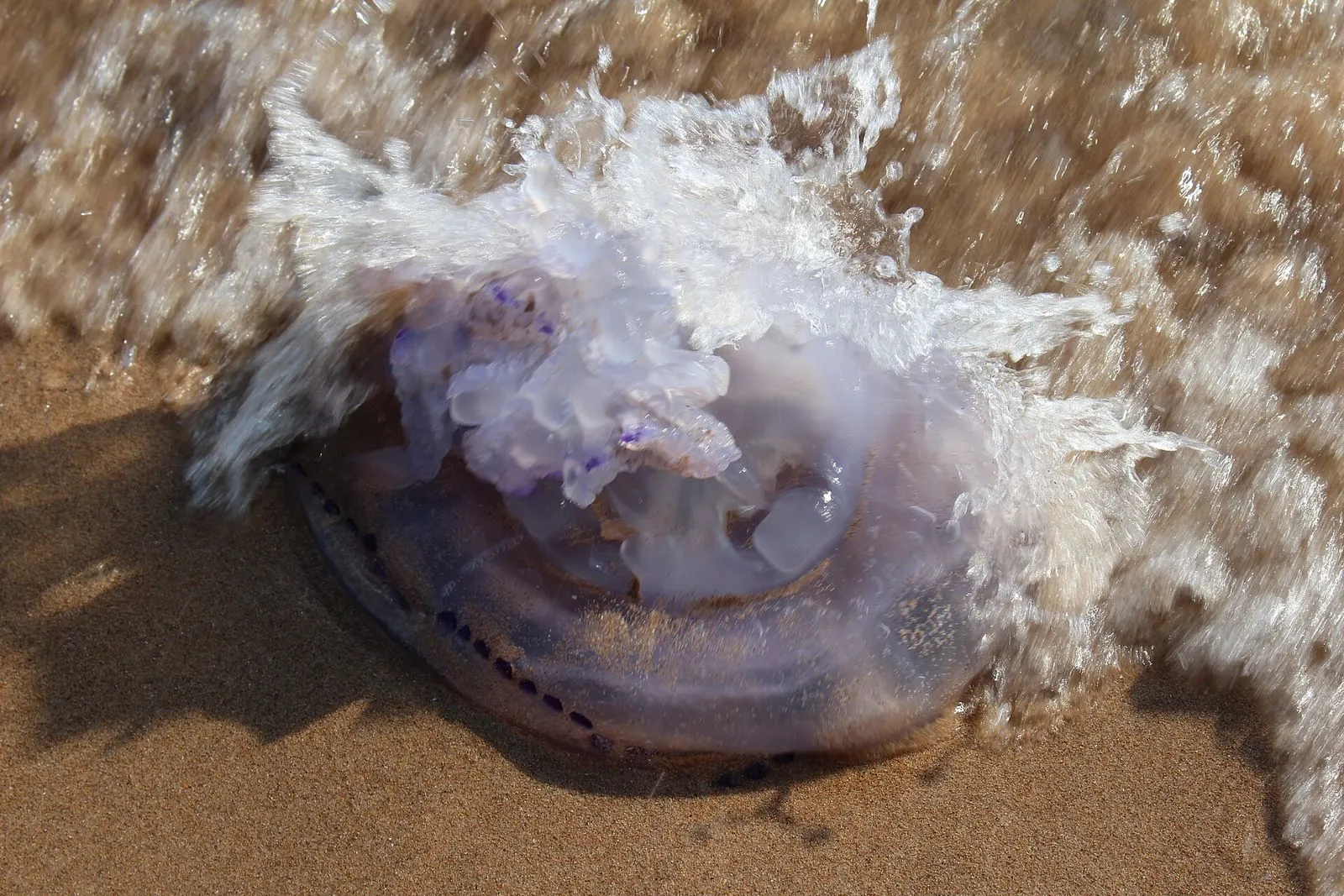 Playa de Xeraco en Xeraco