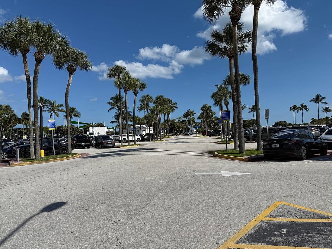 Aparcamiento para aparcar en la playa con palmeras, coches aparcados y cielo azul soleado