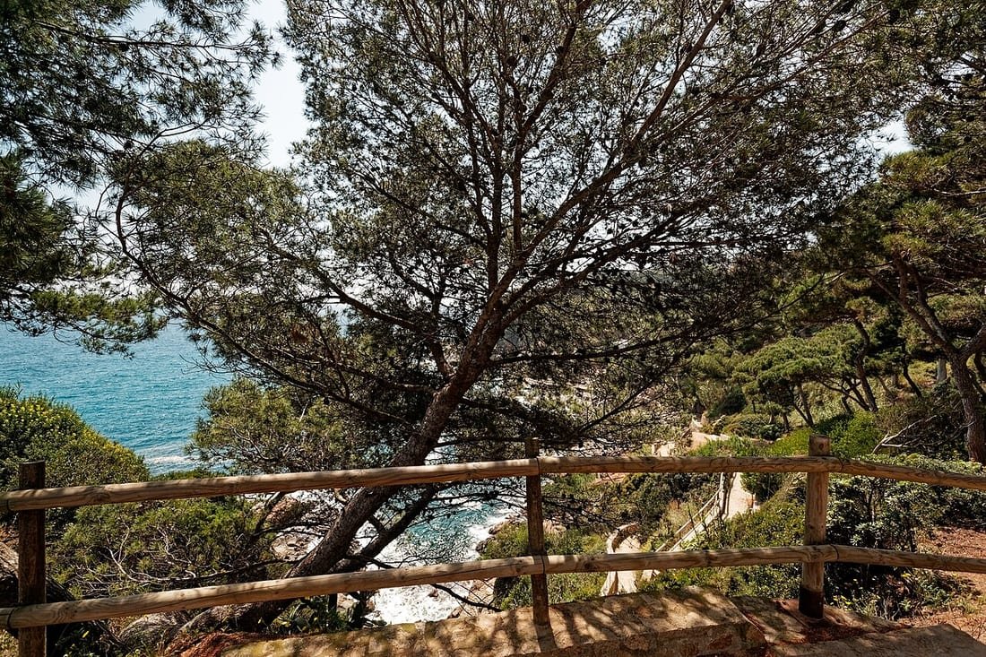 Sendero costero excavado en la roca sobre una cala